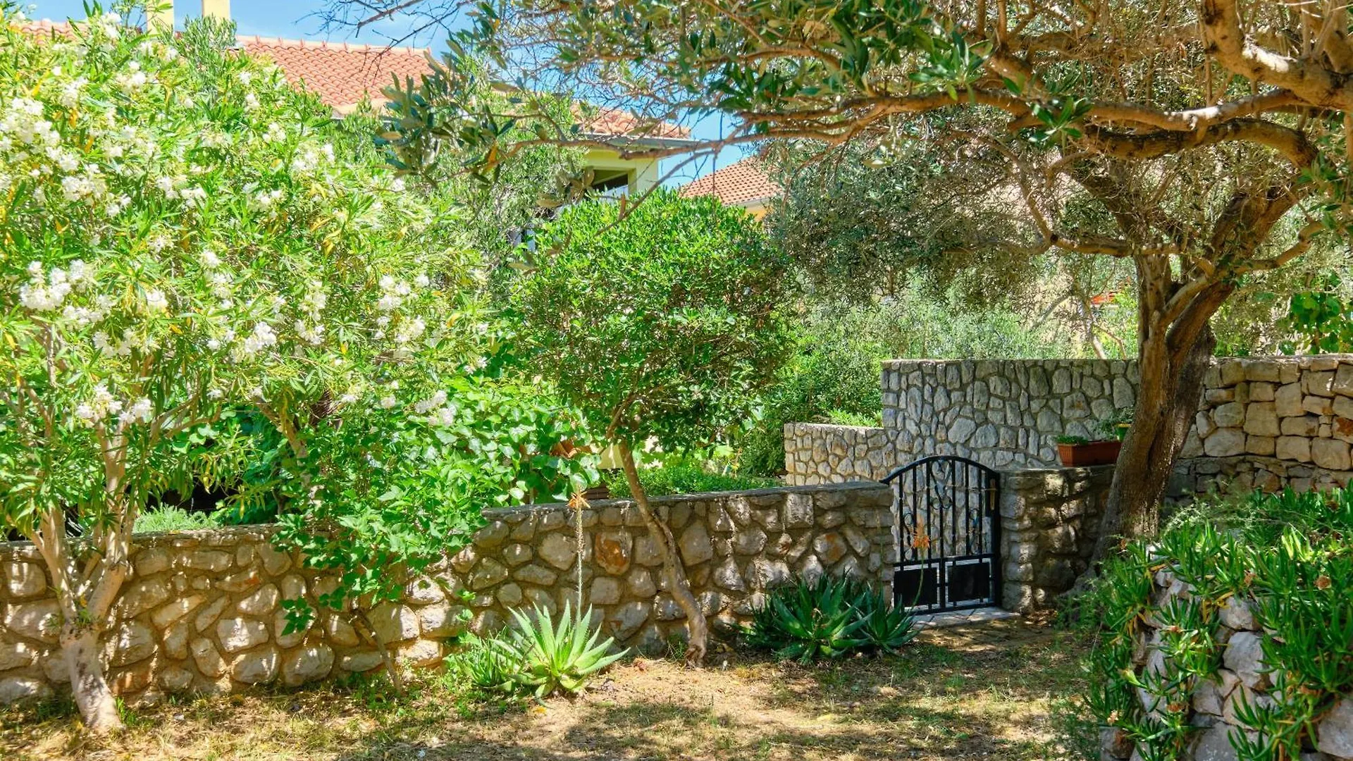 Apartment Aurora Mali Lošinj Croatie
